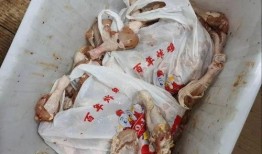 鸡腿生产过程爆料视频,从农场到餐桌的蜕变之旅